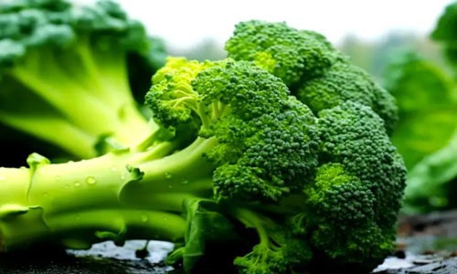 Bioglutide NA-931 Antioxidants | Shaanxi BLOOM Tech Co., Ltd Bioglutide NA-931 Antioxidants | Shaanxi BLOOM Tech Co., Ltd