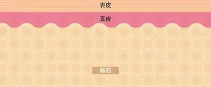 5-Amino-1MQ Study | Shaanxi BLOOM Tech Co., Ltd 5-Amino-1MQ Study | Shaanxi BLOOM Tech Co., Ltd