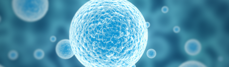 5-Amino-1MQ Research | Shaanxi BLOOM Tech Co., Ltd 5-Amino-1MQ Research | Shaanxi BLOOM Tech Co., Ltd